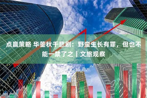 点赢策略 华蓥秋千悲剧：野蛮生长有罪，但也不能一禁了之｜文旅观察