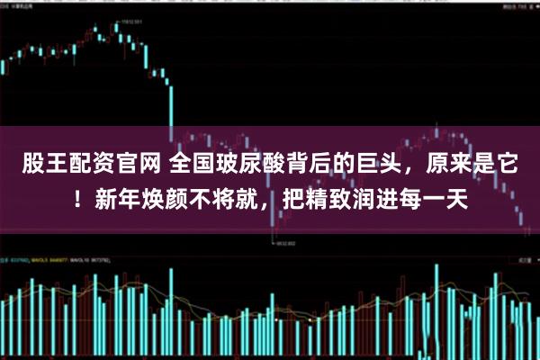股王配资官网 全国玻尿酸背后的巨头，原来是它！新年焕颜不将就，把精致润进每一天